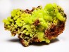 Pyromorphite - mine Daoping, guangxi province, CHINE