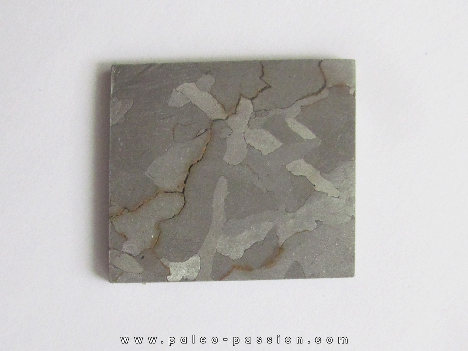 METEORITE Campo del Cielo (26)