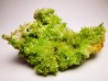 Pyromorphite - mine Daoping, guangxi province, CHINE