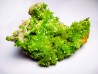 Pyromorphite - mine Daoping, guangxi province, CHINE