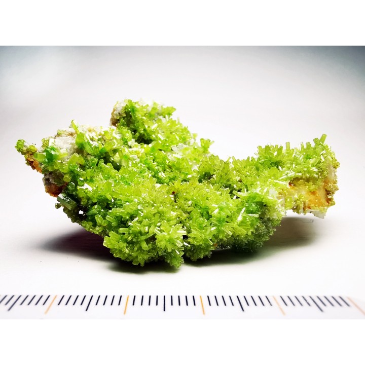 Pyromorphite  - mine Daoping, guangxi province, CHINE