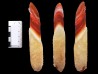 Agate d'Alashan, Mongolie chinoise