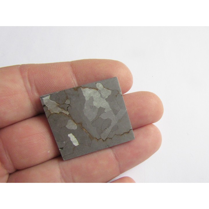 METEORITE  Campo del Cielo (26) 