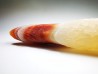 Agate from Alashan, Chinese Mongolia
