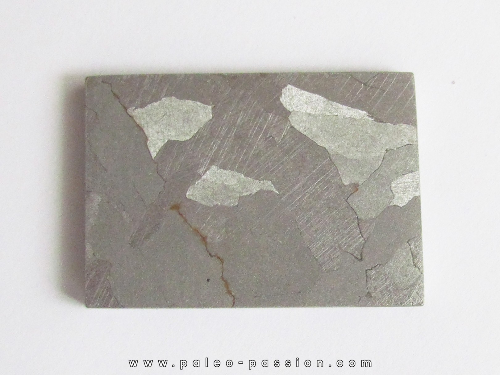 METEORITE Campo del Cielo (27)