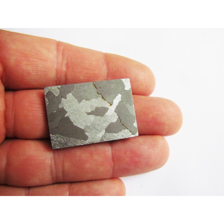METEORITE  Campo del Cielo (27) 