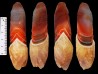 Agate from Alashan, Chinese Mongolia