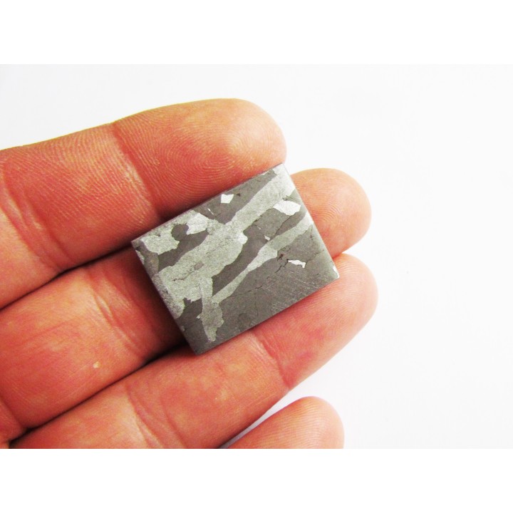 METEORITE  Campo del Cielo (28) 