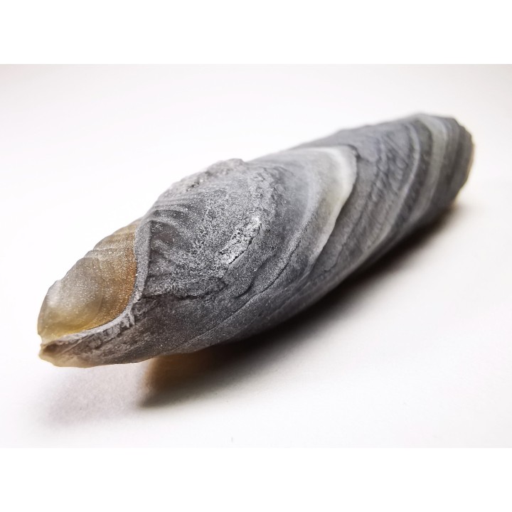Agate d'Alashan, Mongolie chinoise