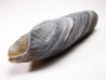 Agate from Alashan, Chinese Mongolia