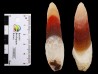 Agate d'Alashan, Mongolie chinoise