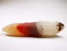 Agate from Alashan, Chinese Mongolia