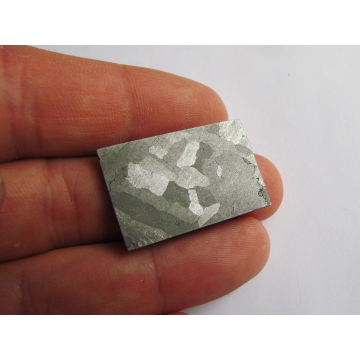 METEORITE  Campo del Cielo (29) 