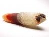 Agate from Alashan, Chinese Mongolia