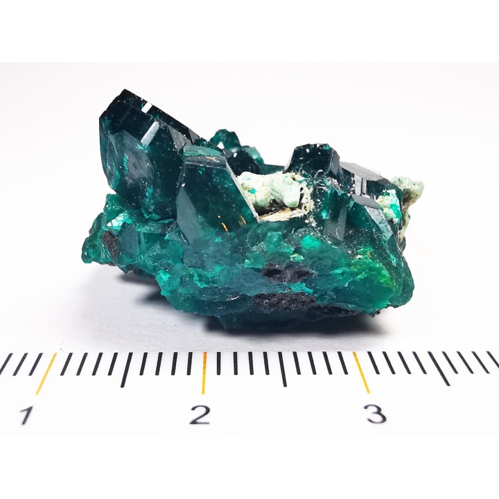 TOP! DIOPTASE - Mindouli, Congo