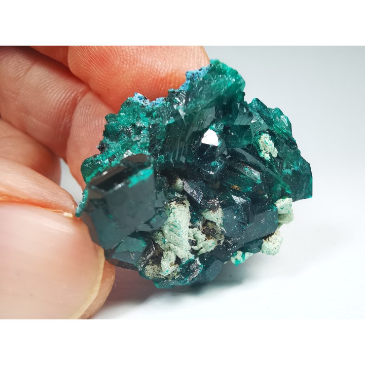 TOP! DIOPTASE - Mindouli, Congo (RDC)