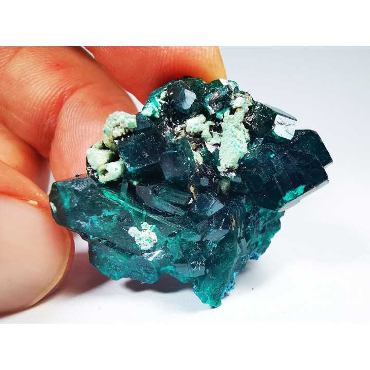 TOP! DIOPTASE - Mindouli, Congo