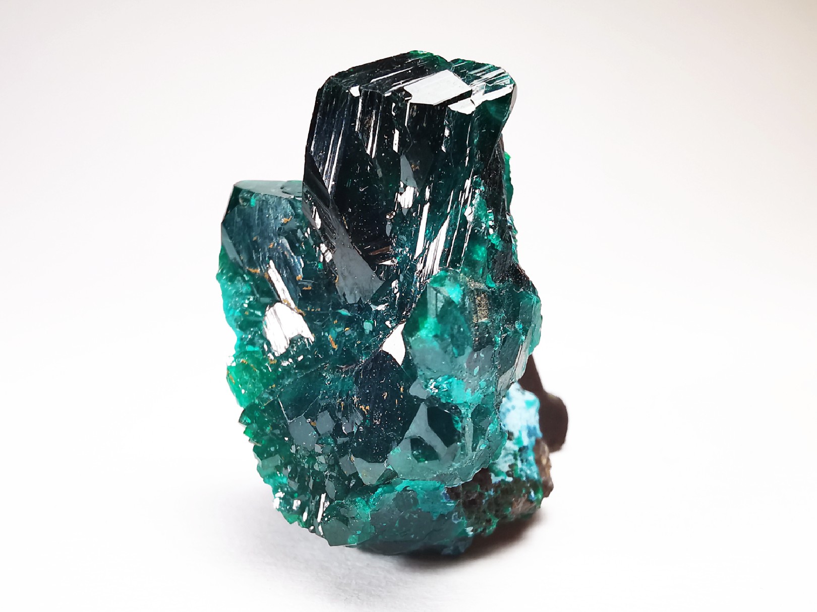TOP! DIOPTASE - Mindouli, Congo