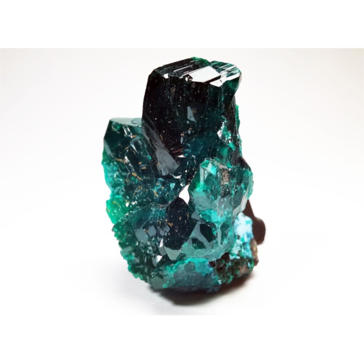 TOP! DIOPTASE - Mindouli, Congo (RDC)