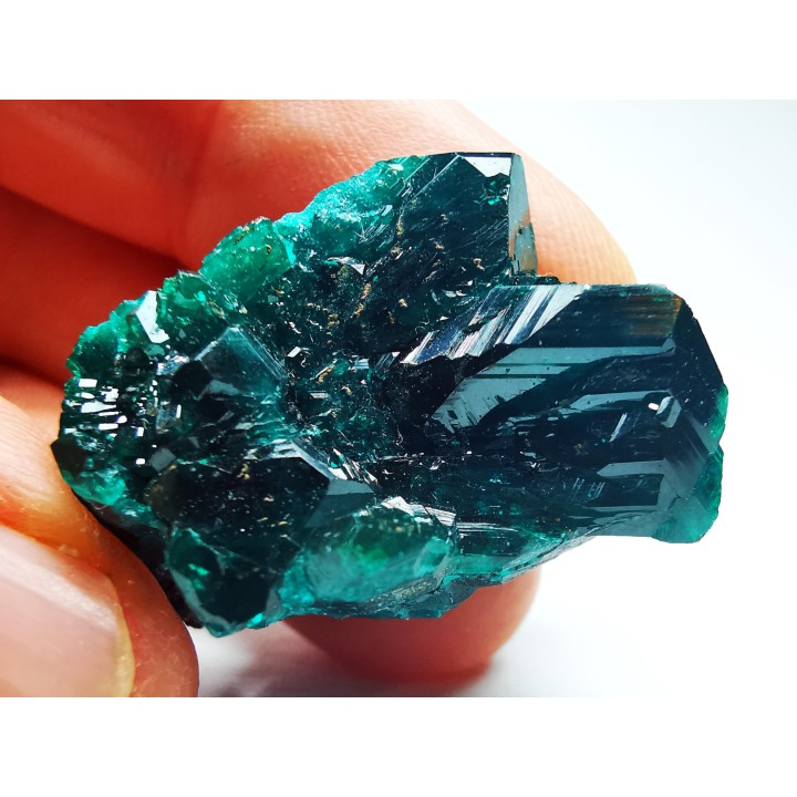 TOP! DIOPTASE - Mindouli, Congo