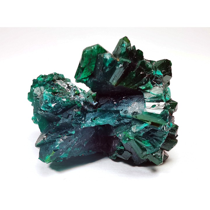 TOP! DIOPTASE - Mindouli, Congo (RDC)