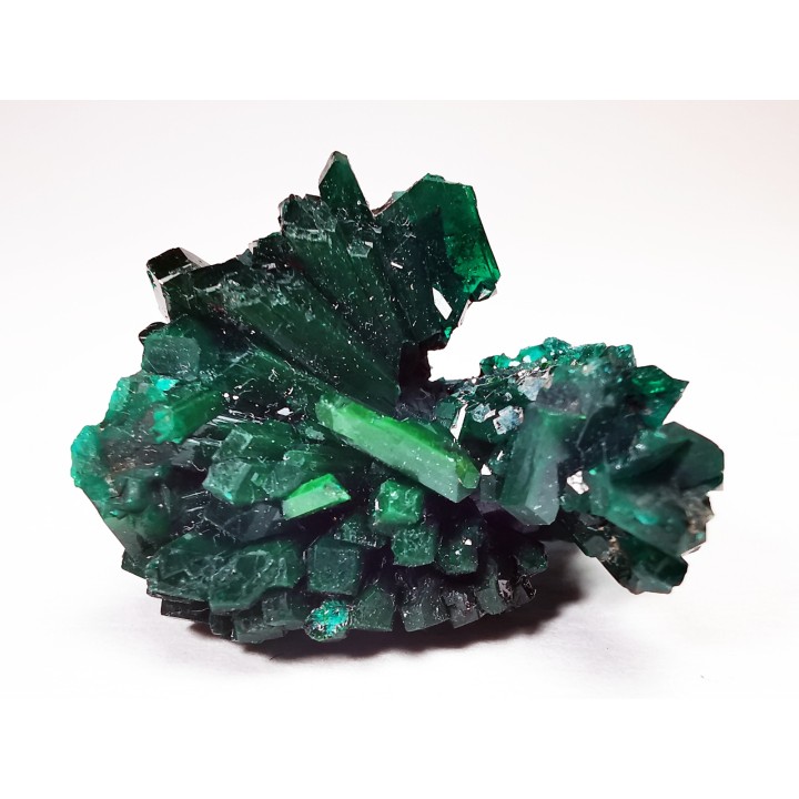 TOP! DIOPTASE - Mindouli, Congo