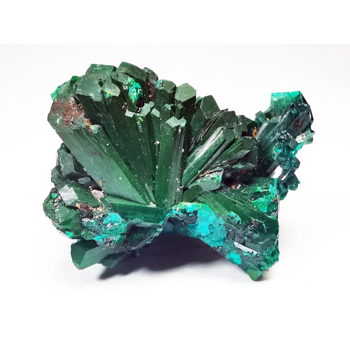 TOP! DIOPTASE - Mindouli, Congo (RDC)