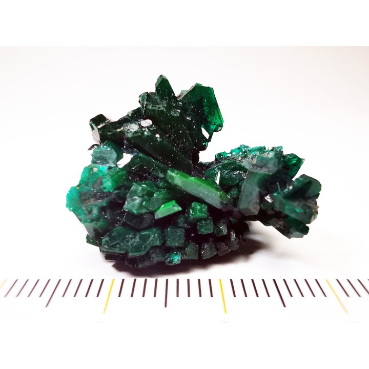 TOP! DIOPTASE - Mindouli, Congo (RDC)