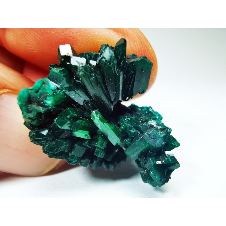 TOP! DIOPTASE - Mindouli, Congo