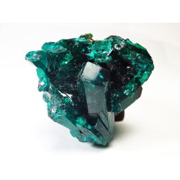 TOP! DIOPTASE - Mindouli, Congo (RDC)