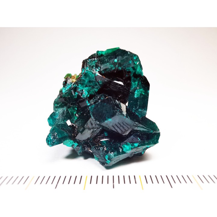 TOP! DIOPTASE - Mindouli, Congo (RDC)
