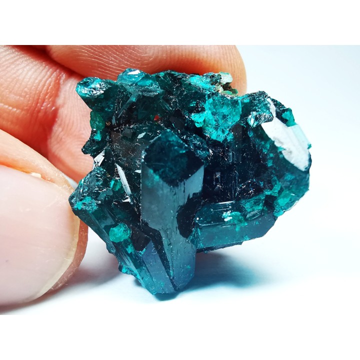 TOP! DIOPTASE - Mindouli, Congo (RDC)