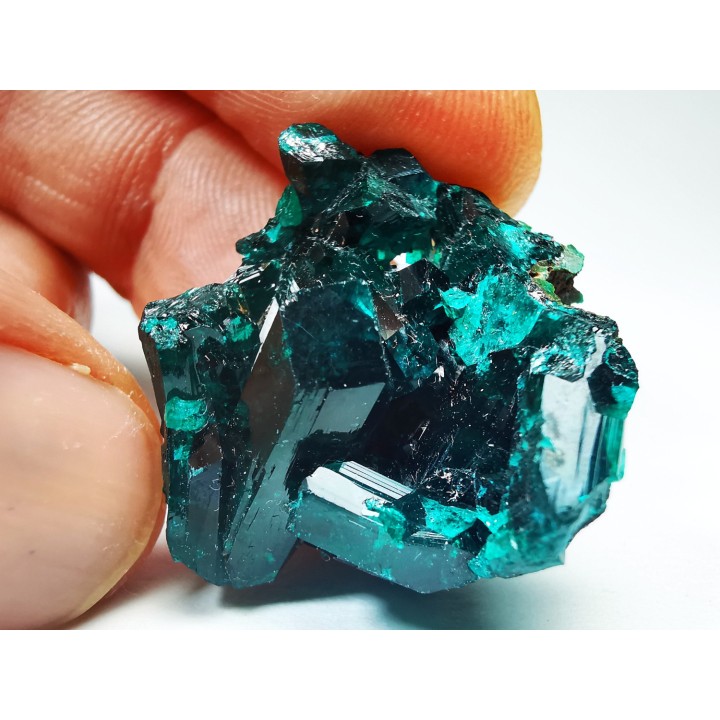 TOP! DIOPTASE - Mindouli, Congo (RDC)
