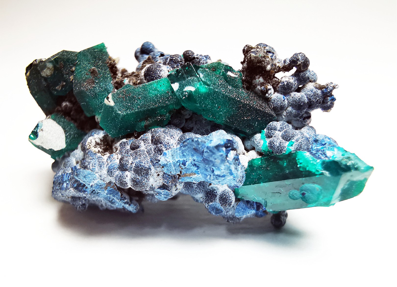 TOP! DIOPTASE - Mindouli, Congo (RDC)