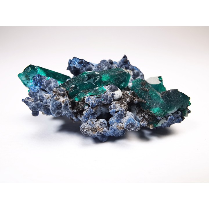 TOP! DIOPTASE - Mindouli, Congo (RDC)