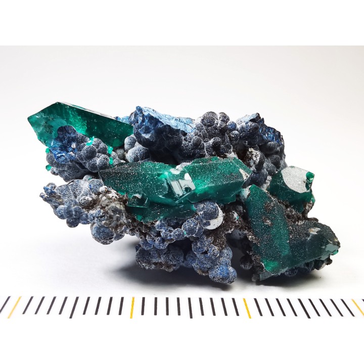 TOP! DIOPTASE - Mindouli, Congo (RDC)
