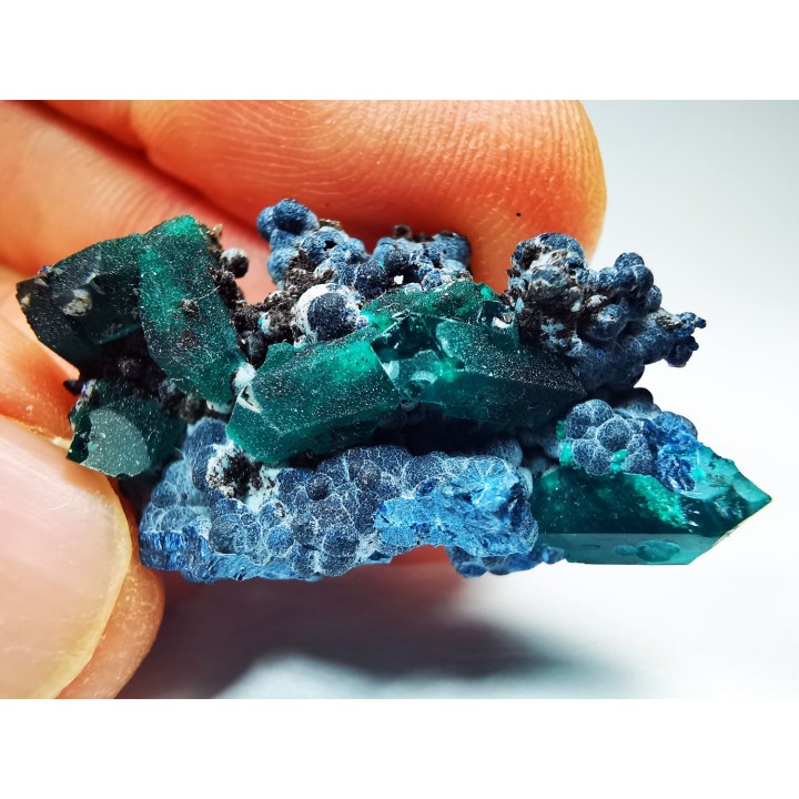 TOP! DIOPTASE - Mindouli, Congo