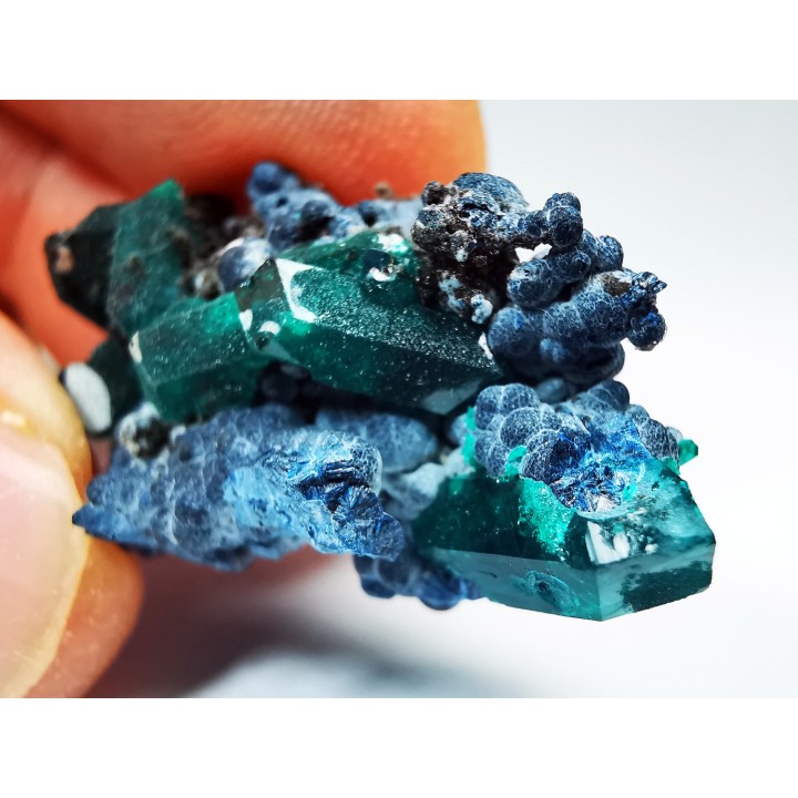 TOP! DIOPTASE - Mindouli, Congo (RDC)