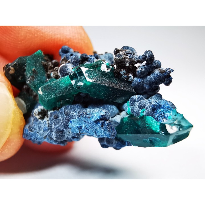 TOP! DIOPTASE - Mindouli, Congo