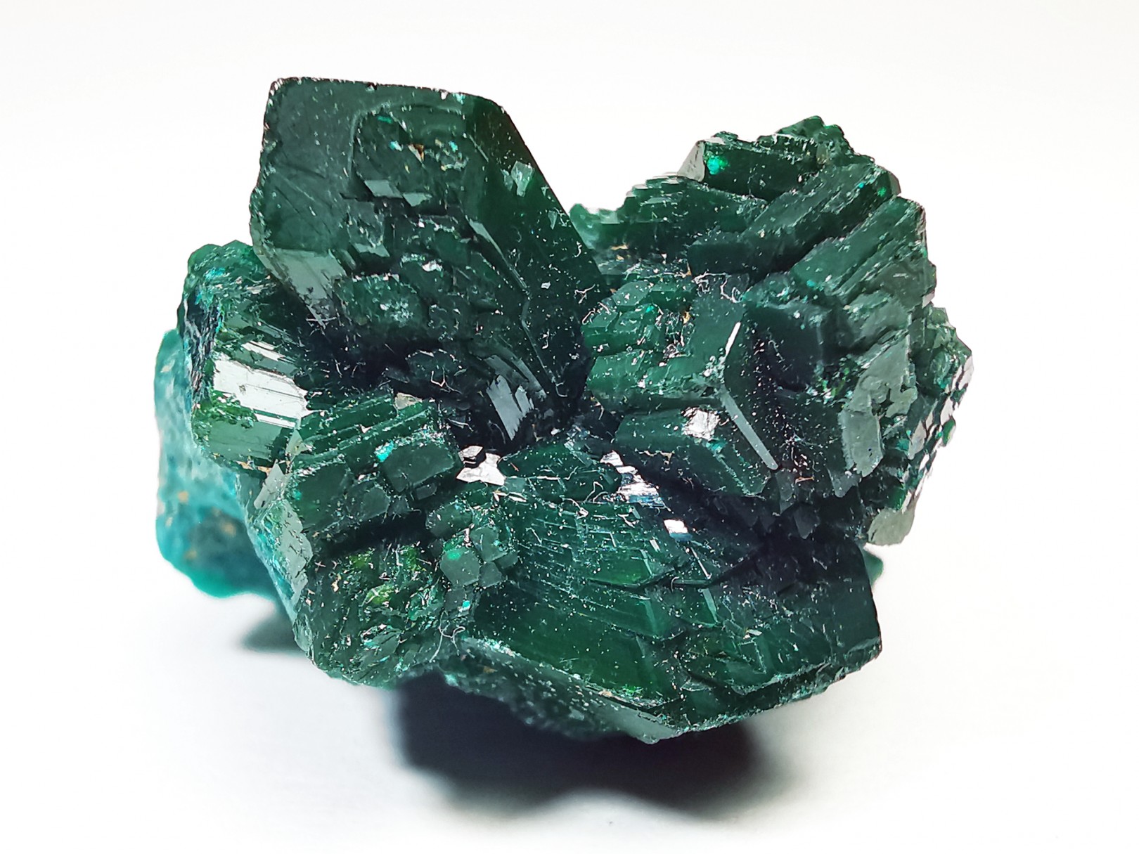 TOP! DIOPTASE - Mindouli, Congo (RDC)