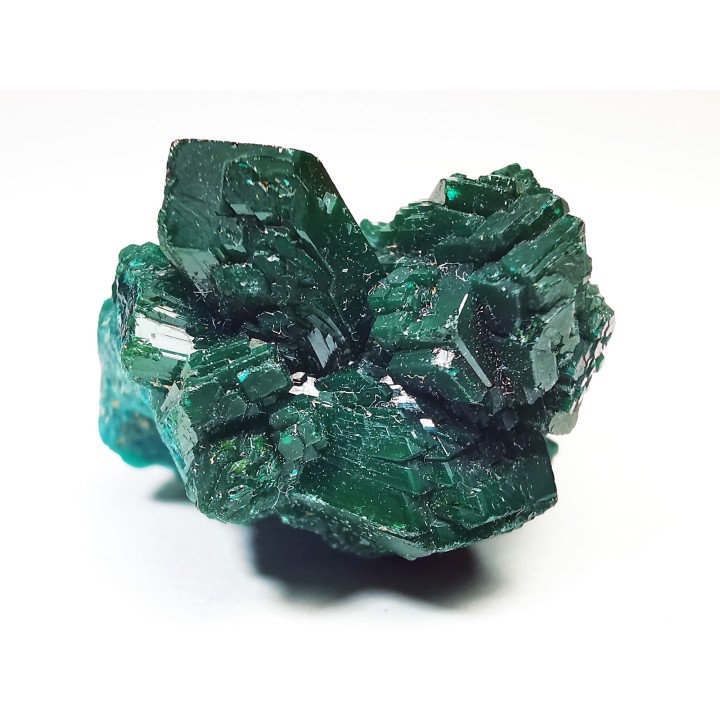 TOP! DIOPTASE - Mindouli, Congo