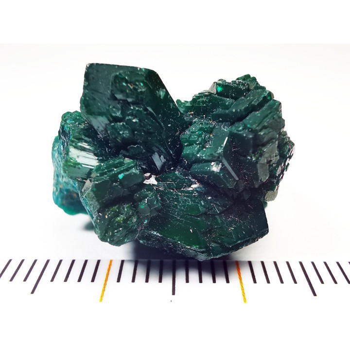 TOP! DIOPTASE - Mindouli, Congo (RDC)