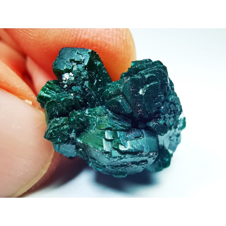TOP! DIOPTASE - Mindouli, Congo (RDC)