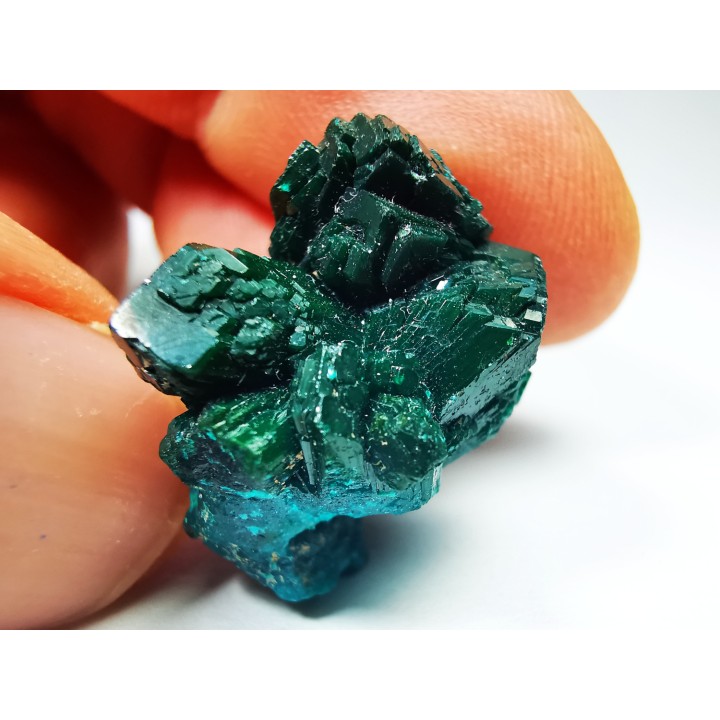 TOP! DIOPTASE - Mindouli, Congo (RDC)