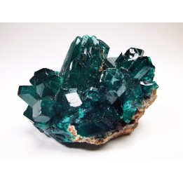 TOP! DIOPTASE - Mindouli, Congo