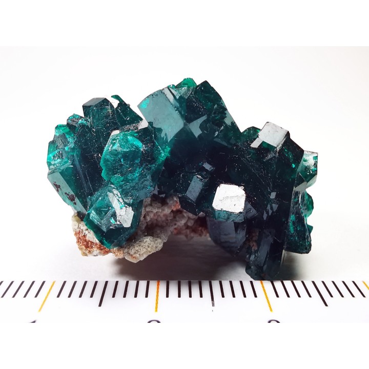 TOP! DIOPTASE - Mindouli, Congo