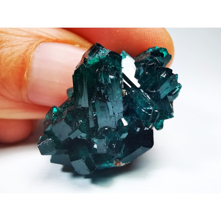 TOP! DIOPTASE - Mindouli, Congo (RDC)
