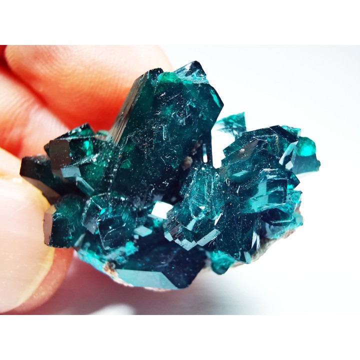 TOP! DIOPTASE - Mindouli, Congo