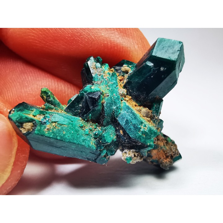 TOP! DIOPTASE - Mindouli, Congo