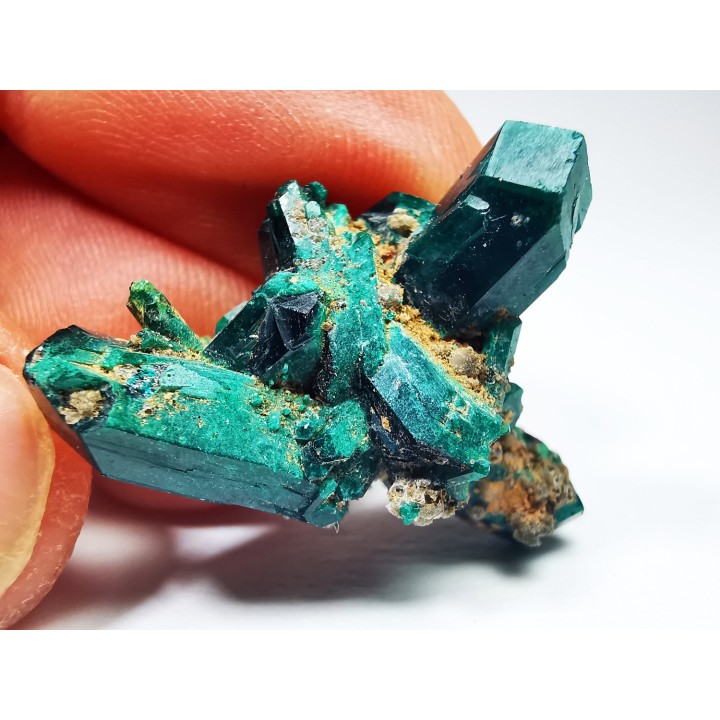 TOP! DIOPTASE - Mindouli, Congo (RDC)
